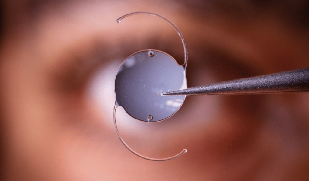 Copy of Untitled Design-7