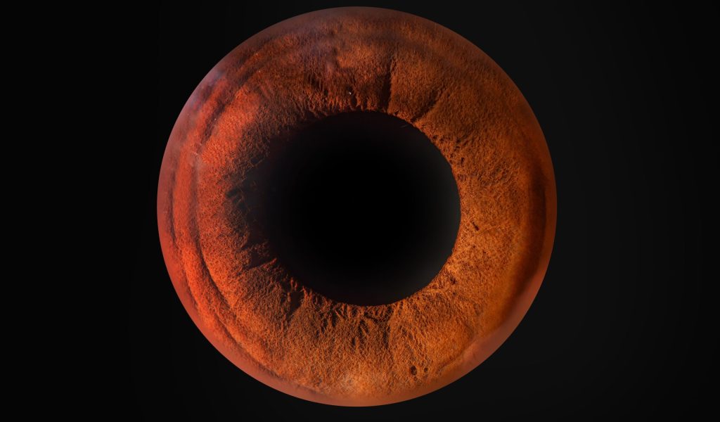 Close-up of a vibrant brown iris against a dark background, highlighting intricate patterns and textures.
